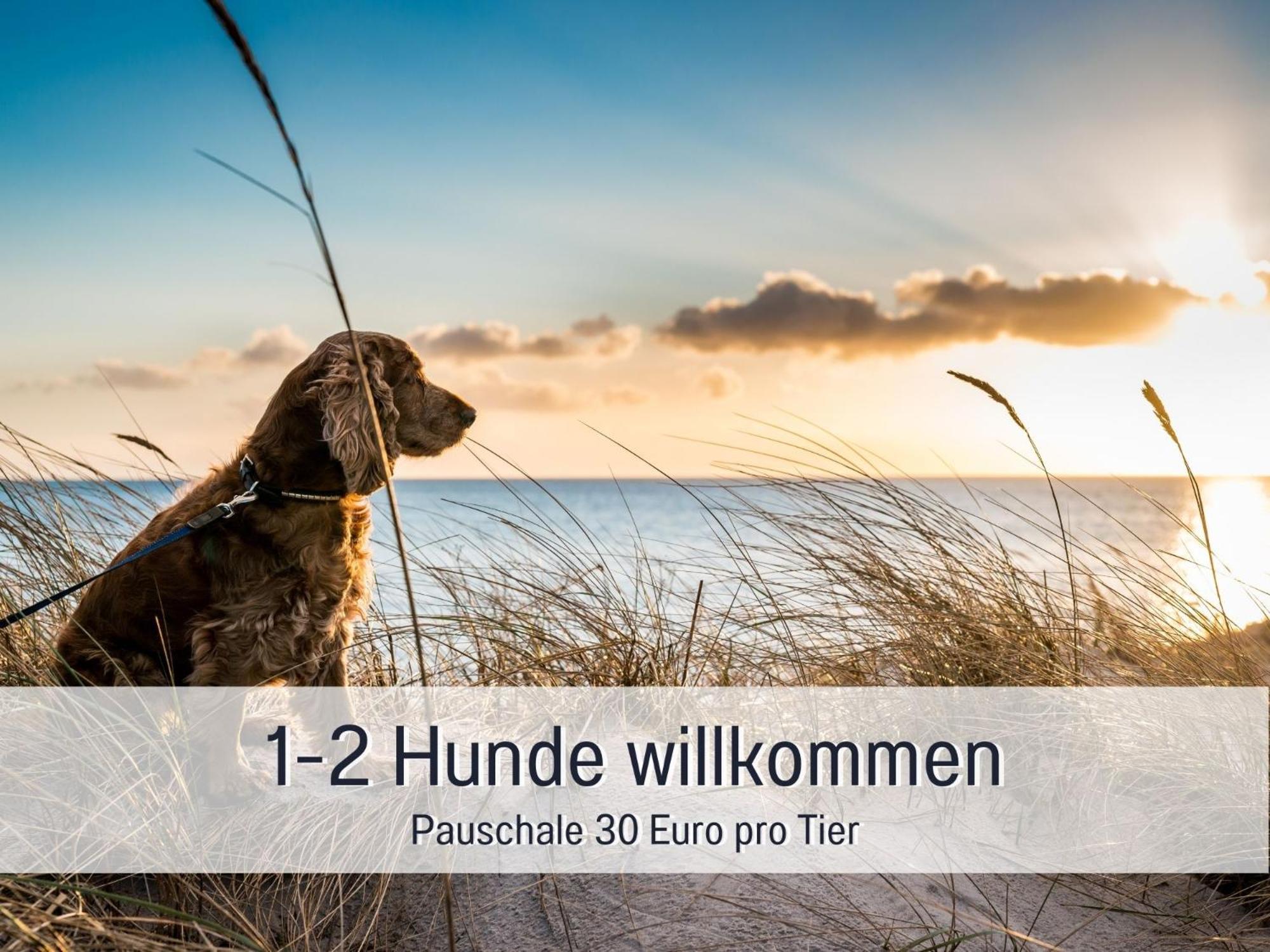 Penthouse - 3 Schlafzimmer- Sonnige Dachterrasse -Whirlpool & Alpenblick - Perfekt Fuer Romantik Oder Familienurlaub Mit Kind, Hund Willkommen - By Ferienwohnenamsee - Uberlingen Exterior foto